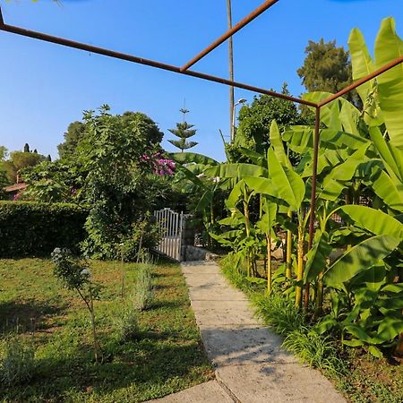 Appartement Smjestaj Djurdjevic à Herceg Novi Extérieur photo